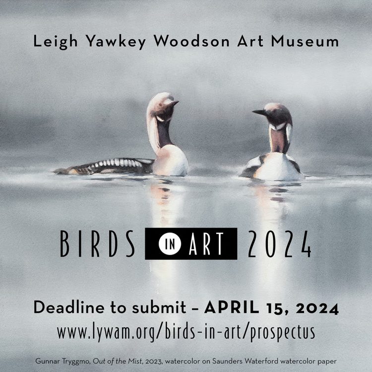 Birds In Art 2024 Art Jobs   Low Res Prospectus 2024 